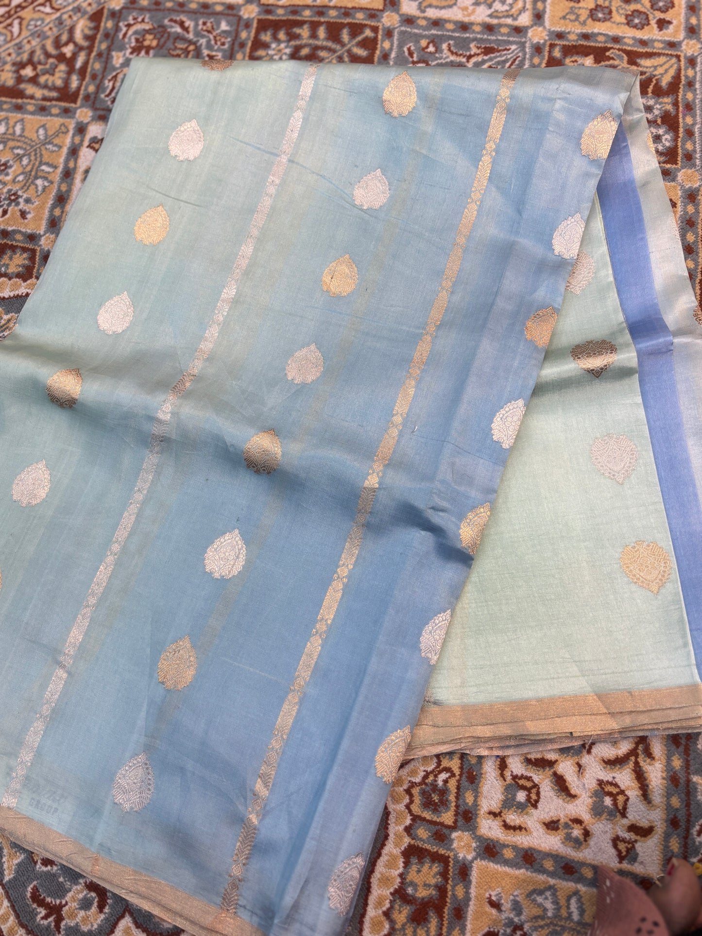 Powder blue saree with gold-pink border, long pleat and scattered dot motifs, pallu