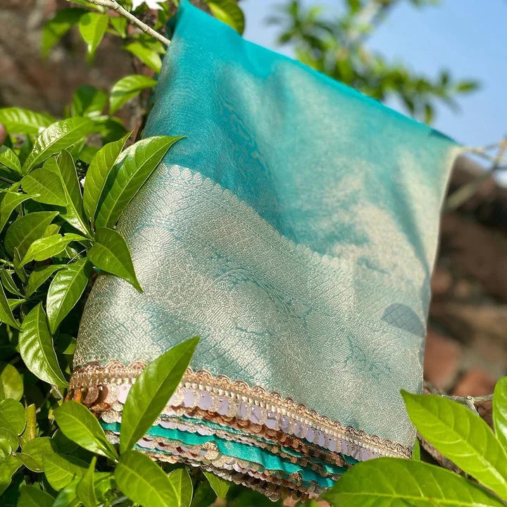 Jahanavi Kapoor Pink Tissue Saree - Rungkaat