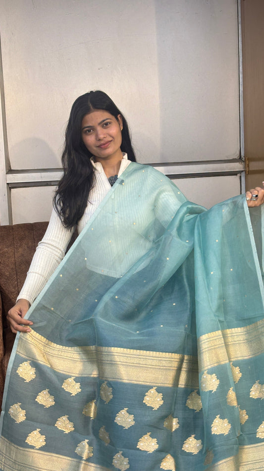 Powder Blue Pure Kora Designer Kadhuwa Handloom Saree 