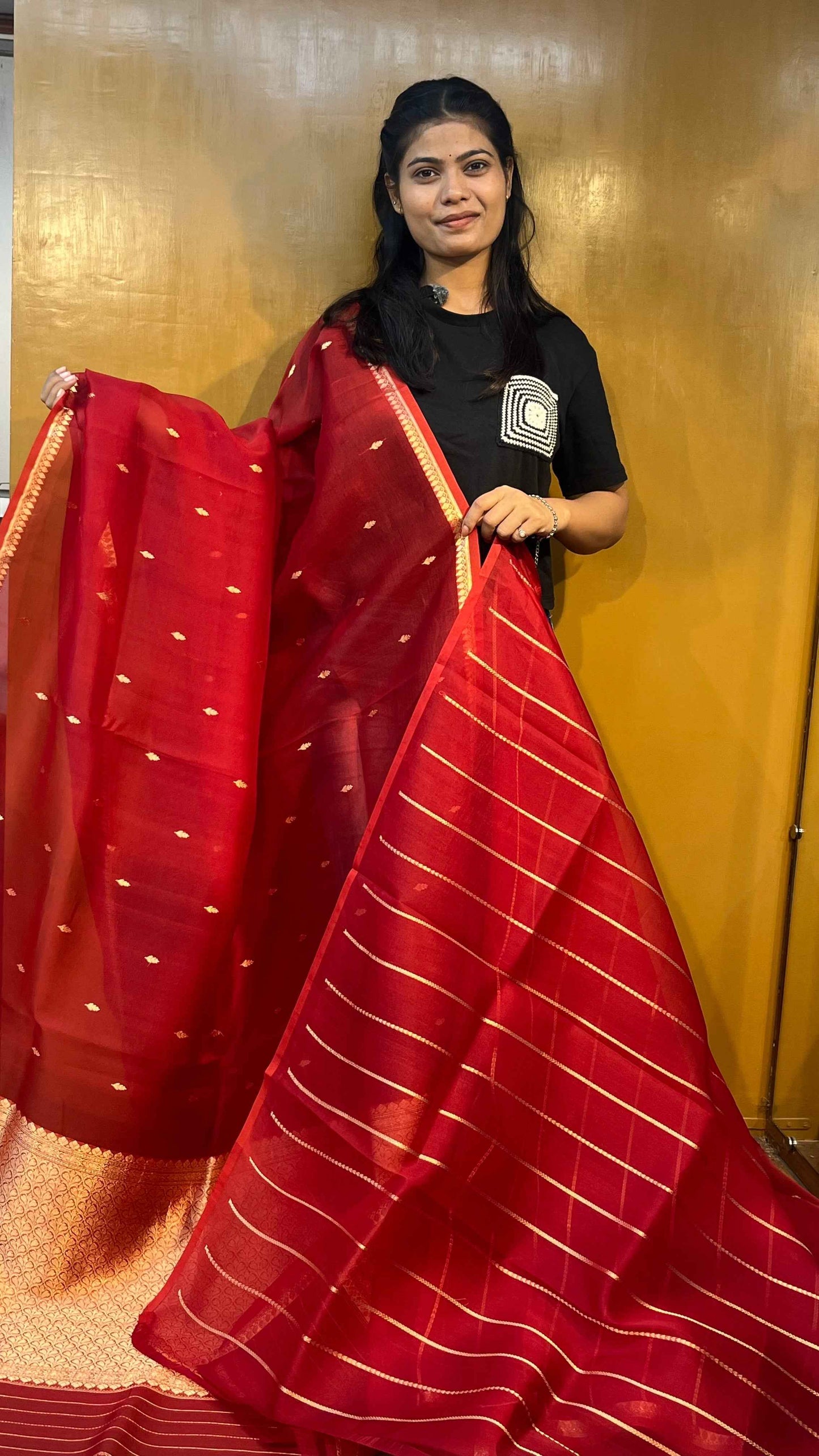 Red Banarasi handloom saree with gold border and striped dotted pallu