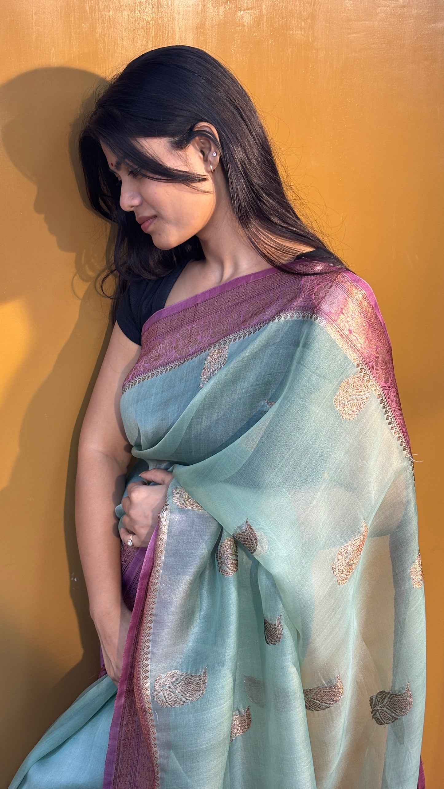 Banarasi handloom saree in light blue with gold motifs and magenta border