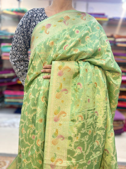 Light Green Banarasi Saree