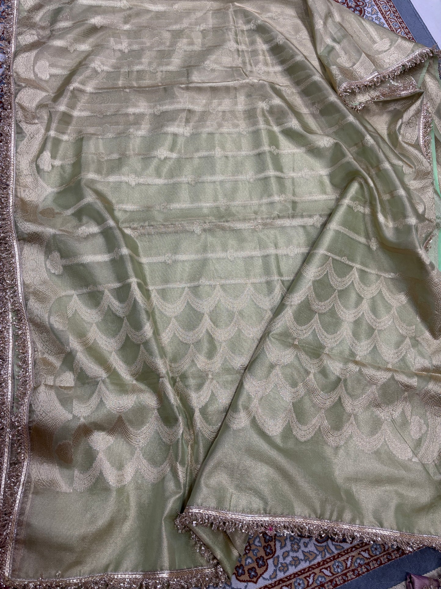 Green tissue saree with silver-toned scalloped pattern and lace-trim border