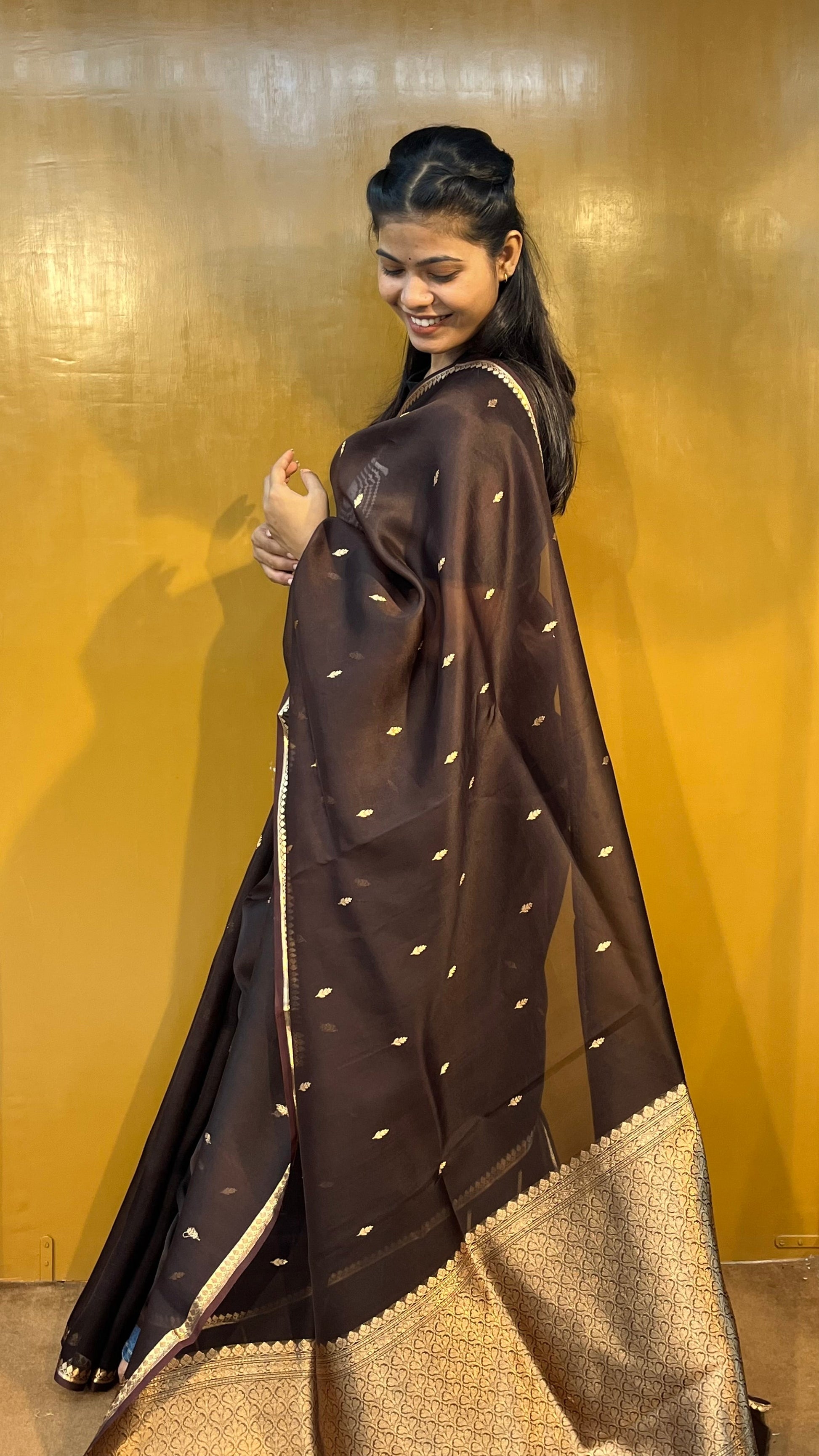 Dark silk saree with gold zari border and pallu, draped with blouse