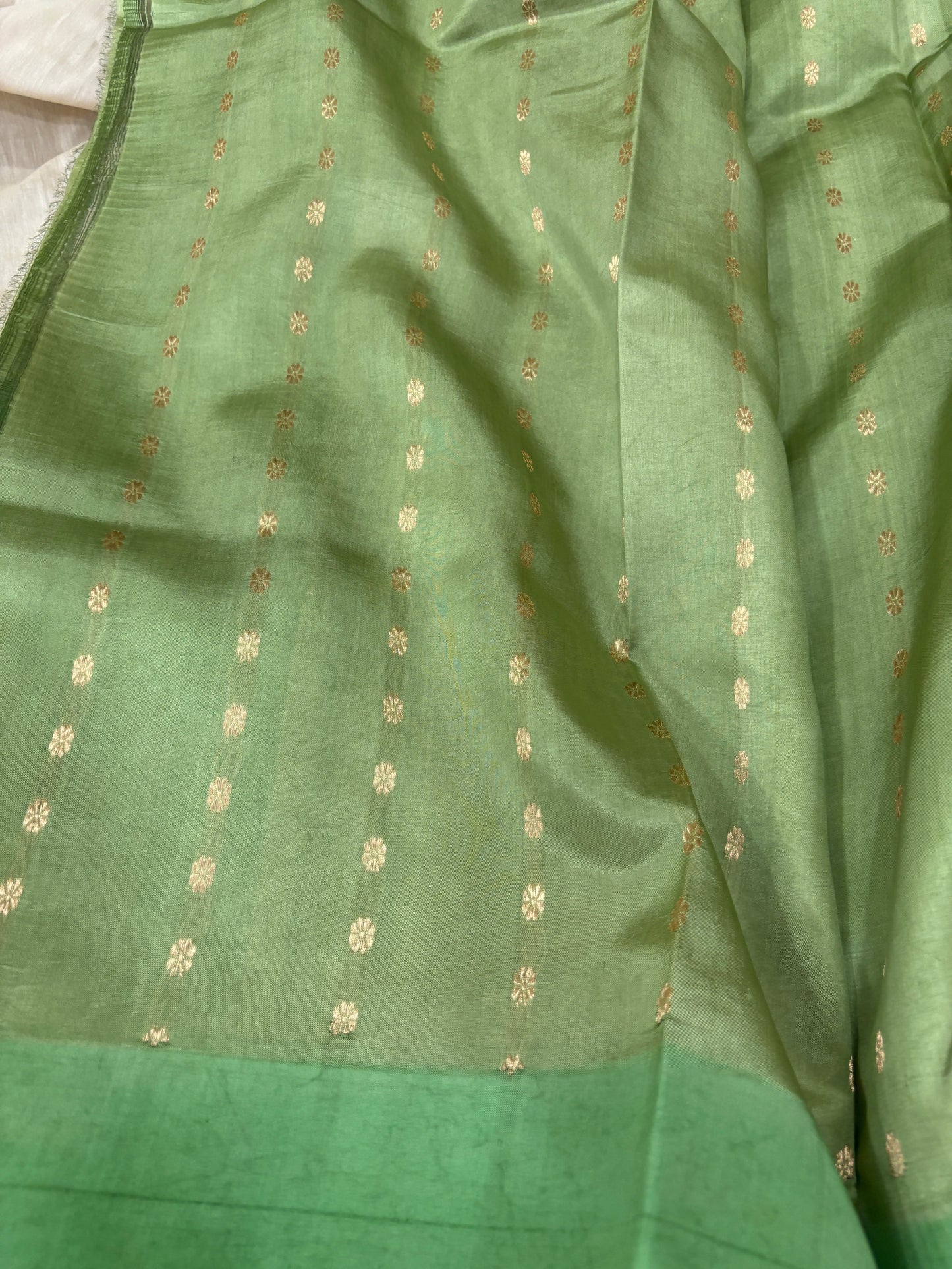 Green silk saree with small gold motifs and plain border panel