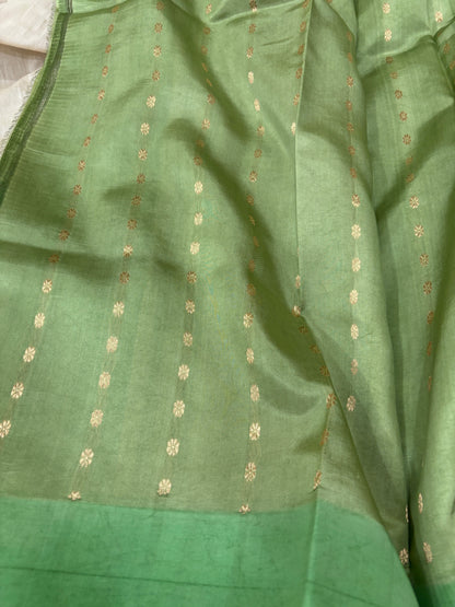 Green silk saree with small gold motifs and plain border panel