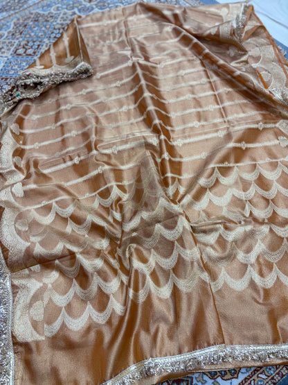 Champagne-brown tissue saree with silver scalloped motifs and metallic lace border