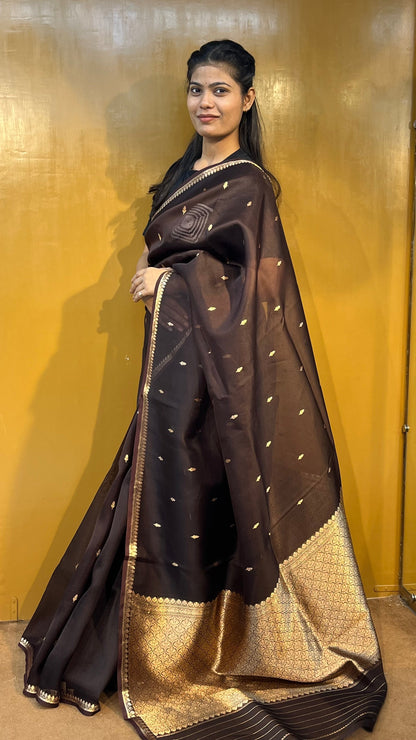 Dark silk saree with gold zari border, pleated drape and pallu