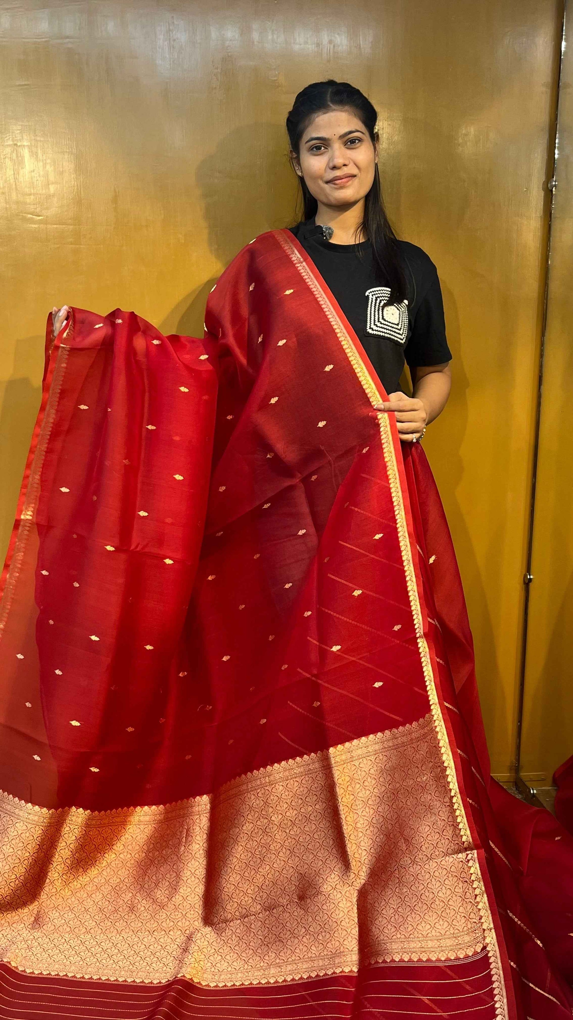 Red Banarasi handloom saree with gold border and dotted pallu
