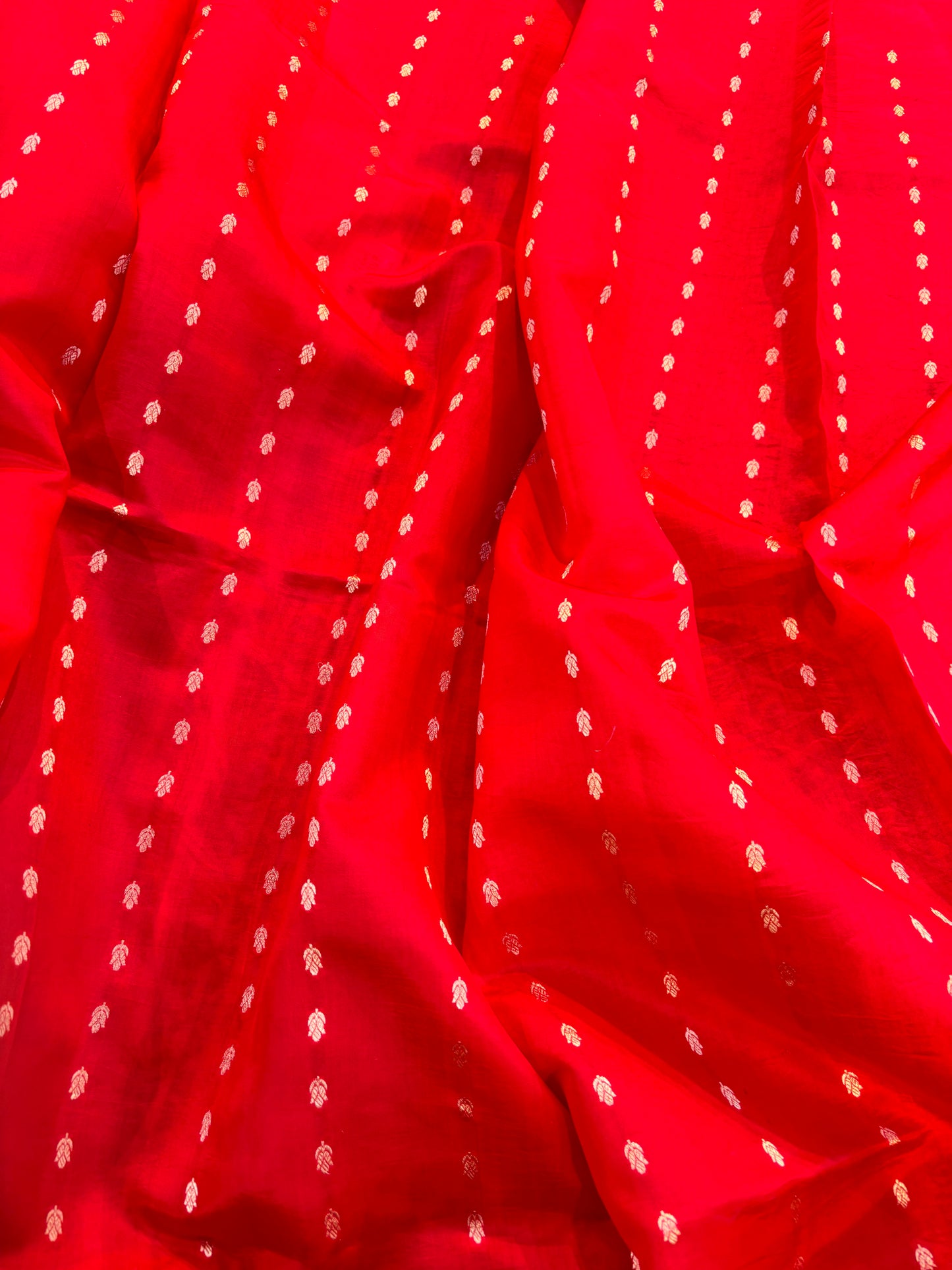 Red Pure Raw Mango Banarasi Handloom Saree