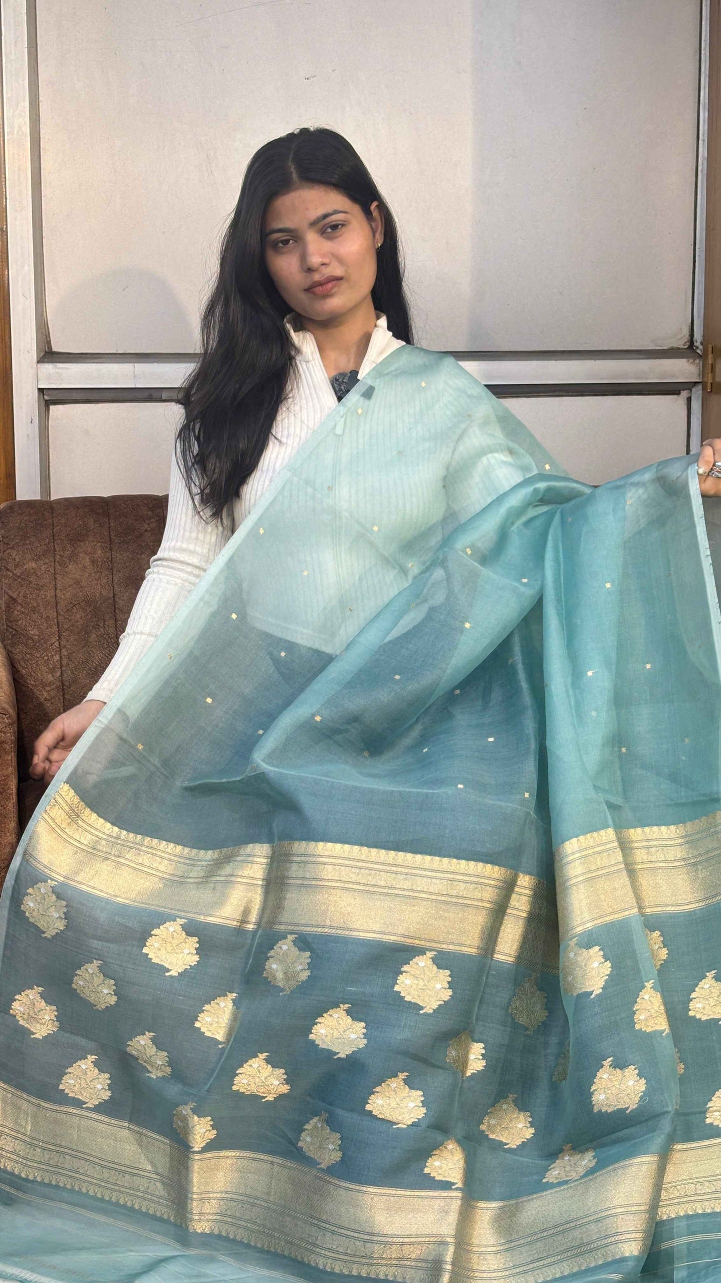 Ice-blue silk Banarasi sari with gold zari border and scattered gold motifs, draped