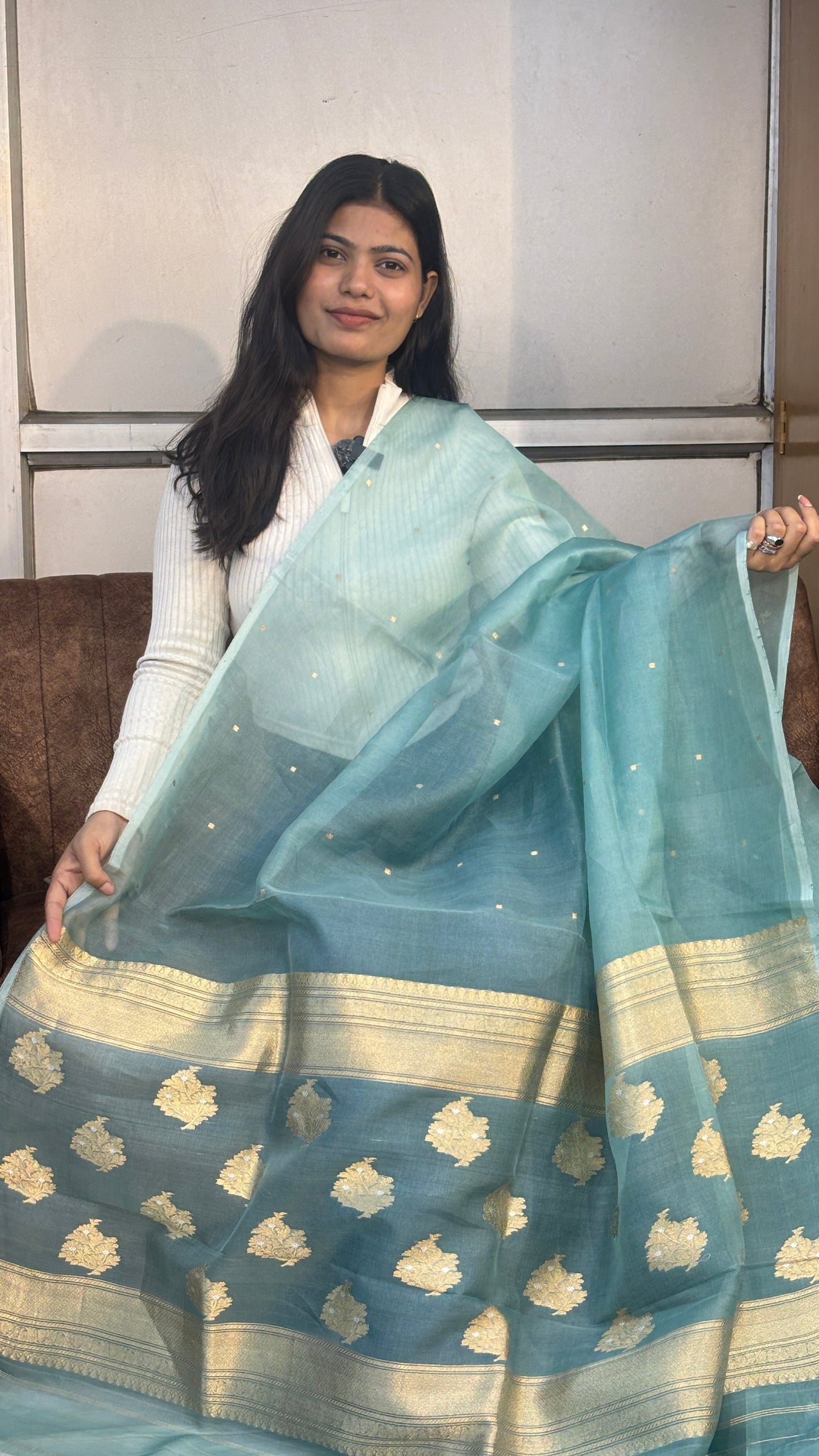 Ice-blue silk Banarasi sari with gold zari border and floral motif pattern, held up