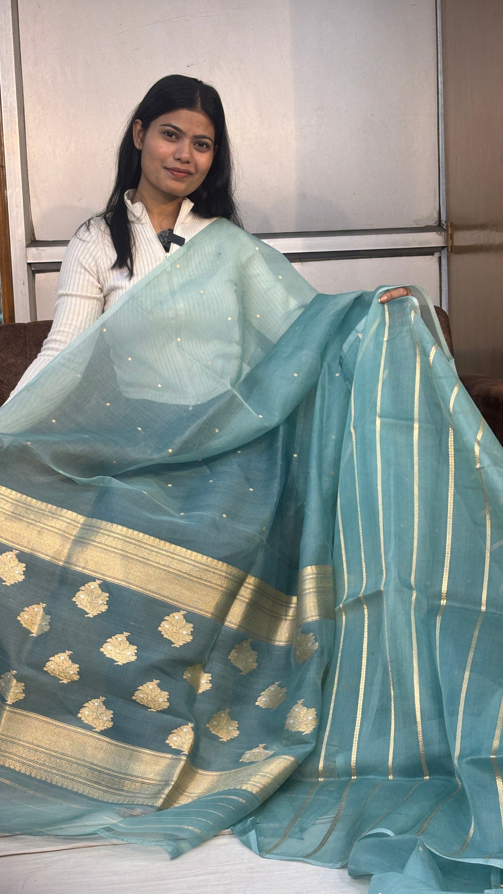 Ice-blue silk Banarasi sari with gold striped border and draped pallu, side view